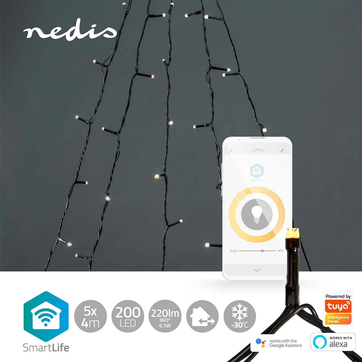 SmartLife-kerstverlichting - Afbeelding 6
